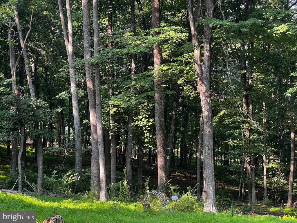 336 HOWARD DELAWDER LN, Mathias, WV 26812
