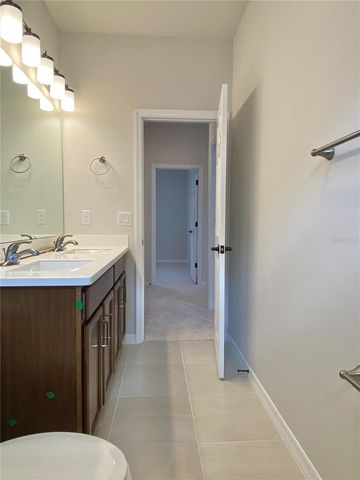 28613 COZY CREEK DRIVE, Wesley Chapel, FL 33543