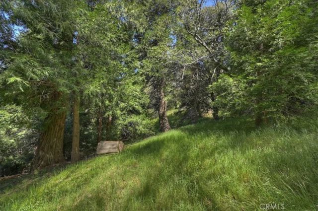 22302 Mojave River, Cedarpines Park, CA 92322