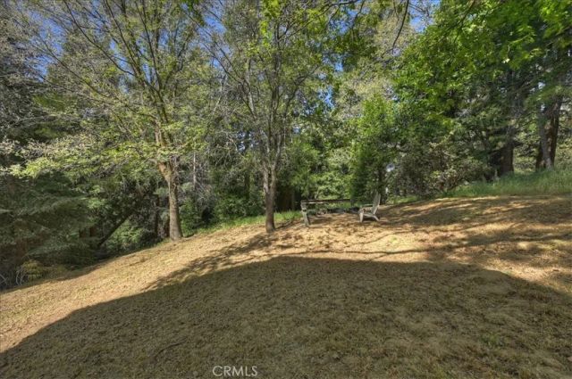 22302 Mojave River, Cedarpines Park, CA 92322