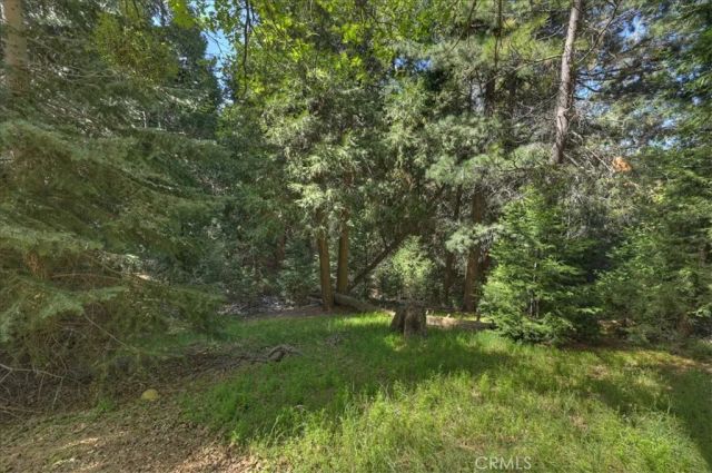 22302 Mojave River, Cedarpines Park, CA 92322