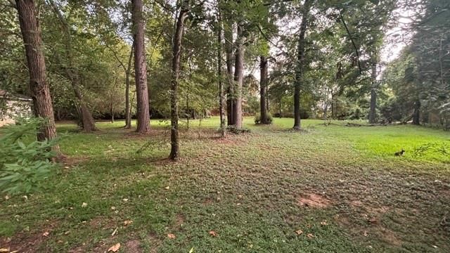 0 Woodland Manor, Willis, TX 77378