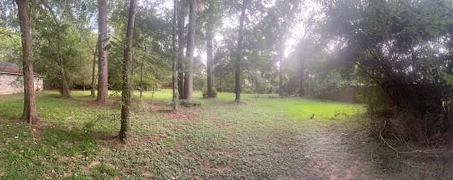 0 Woodland Manor, Willis, TX 77378