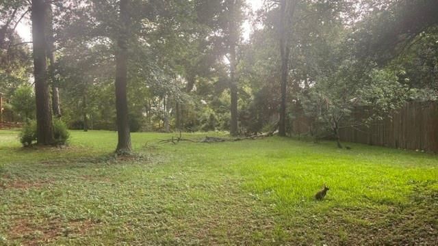 0 Woodland Manor, Willis, TX 77378