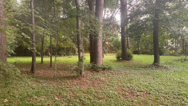 0 Woodland Manor, Willis, TX 77378