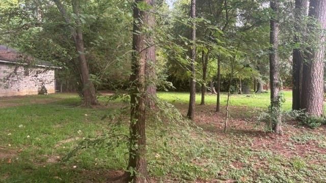 0 Woodland Manor, Willis, TX 77378