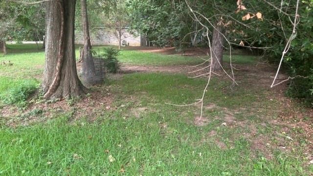 0 Woodland Manor, Willis, TX 77378