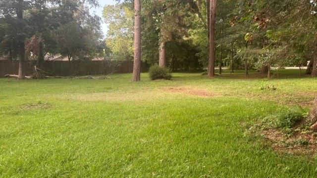 0 Woodland Manor, Willis, TX 77378
