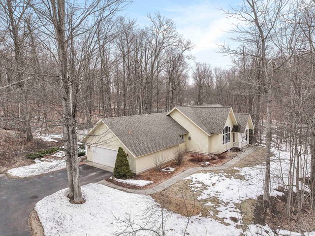 9871 E Woodcrest Court, Bingham Twp, MI 49682