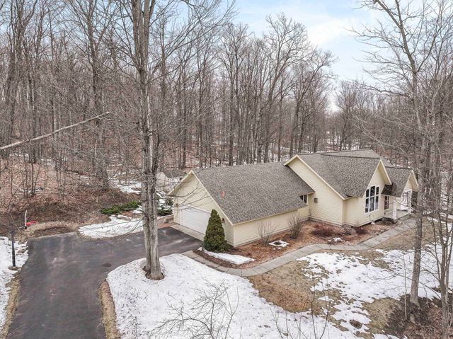9871 E Woodcrest Court, Bingham Twp, MI 49682