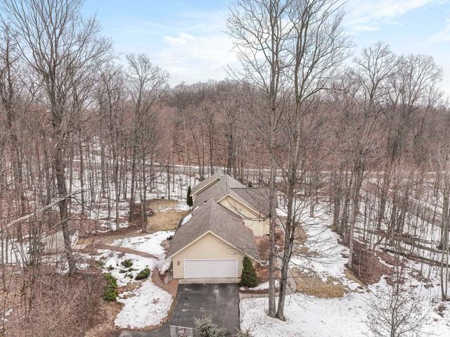 9871 E Woodcrest Court, Bingham Twp, MI 49682