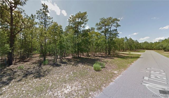 9506 N Travis Drive, Citrus Springs, FL 34434