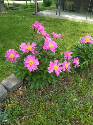 331 W Thompson Road, Indianapolis, IN 46217