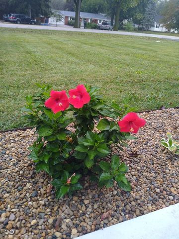 331 W Thompson Road, Indianapolis, IN 46217