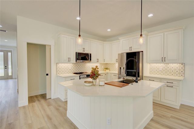 1316 E 9TH AVENUE, Mount Dora, FL 32757