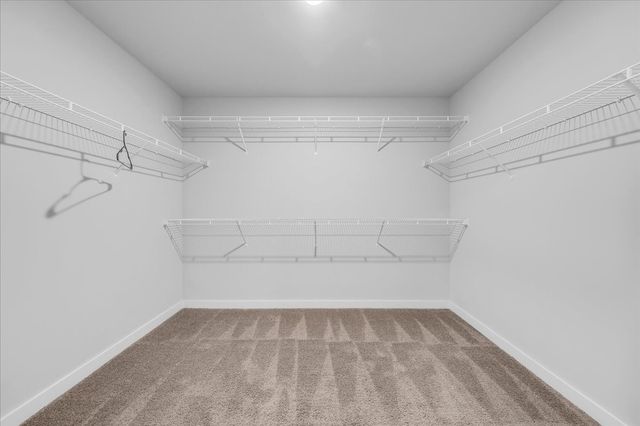 531 Mickelson Way, Spring Hill, TN 37174