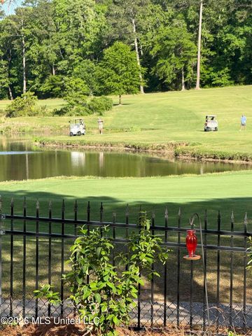 134 Pinnacle Circle, Brandon, MS 39047