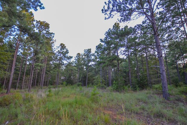 Tract 2 Hwy 155, Frankston, TX 75763