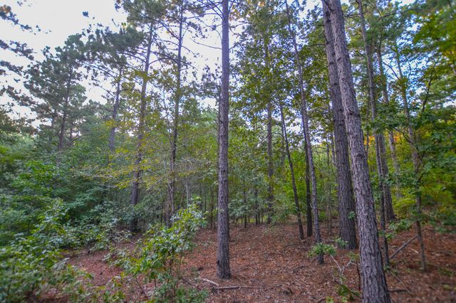 Tract 2 Hwy 155, Frankston, TX 75763
