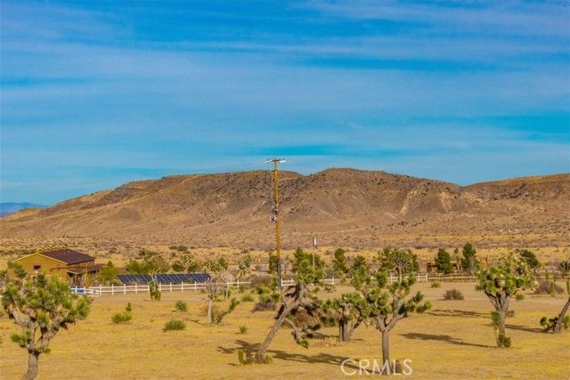 59 Curtis Road, Pioneertown, CA 92268