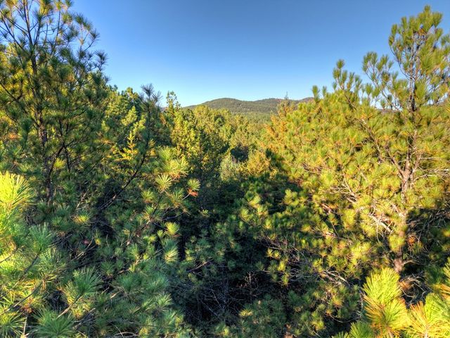 0 Stansbury Mountain Road, Copperhill, TN 37317