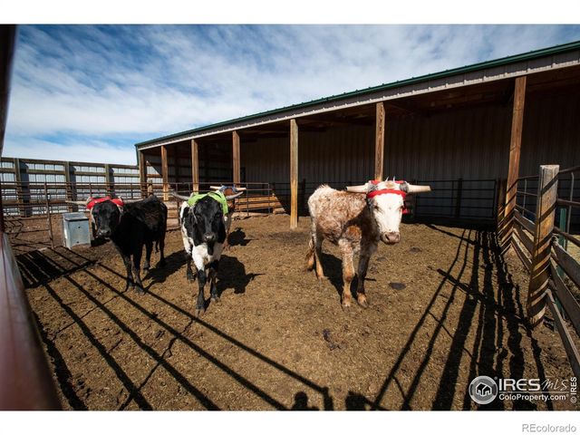 23930 N Highway 287, Livermore, CO 80536