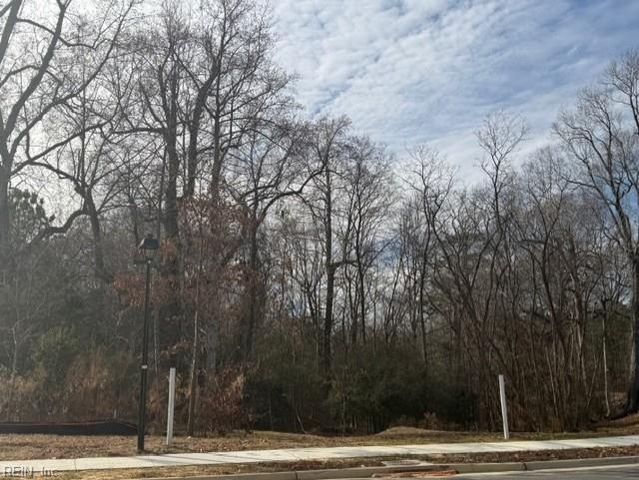 1004 Bennetts ARCH, Suffolk, VA 23435