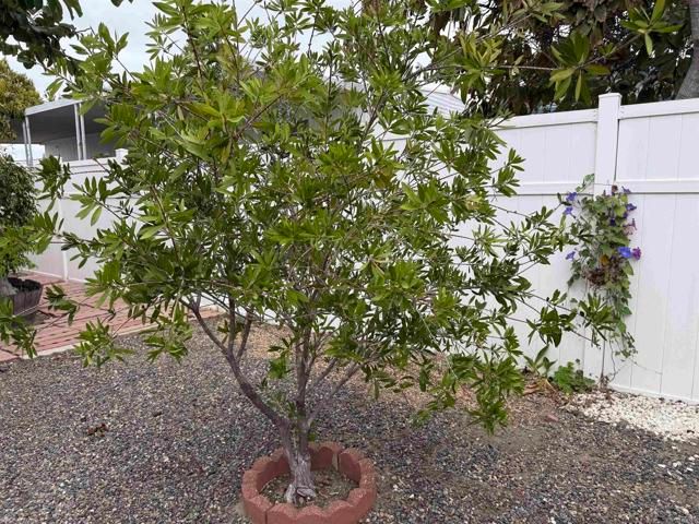 200 N El Camino Real 150, Oceanside, CA 92058