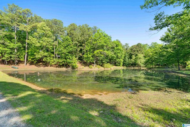 12180 OLDE SOUTH SPUR, Mccalla, AL 35111