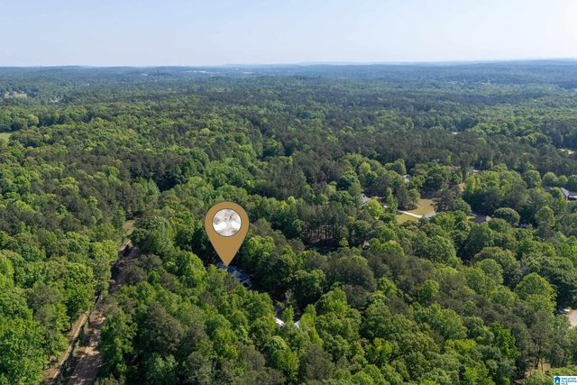 12180 OLDE SOUTH SPUR, Mccalla, AL 35111
