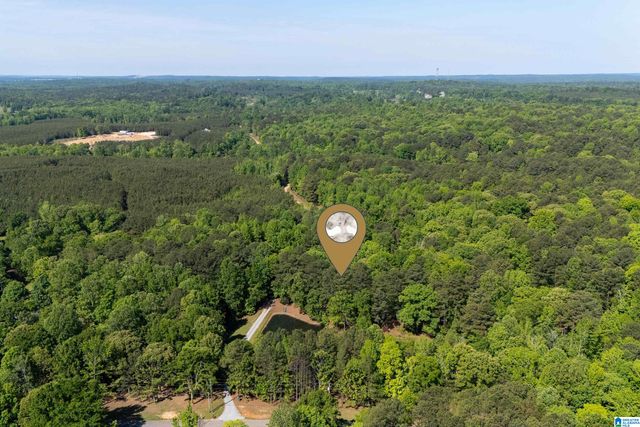 12180 OLDE SOUTH SPUR, Mccalla, AL 35111
