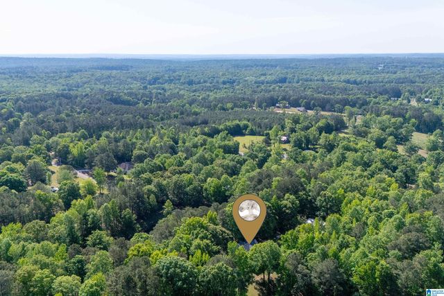 12180 OLDE SOUTH SPUR, Mccalla, AL 35111