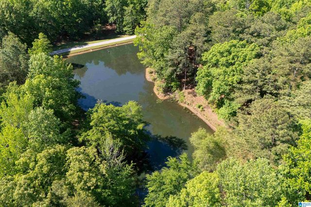 12180 OLDE SOUTH SPUR, Mccalla, AL 35111