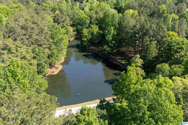 12180 OLDE SOUTH SPUR, Mccalla, AL 35111