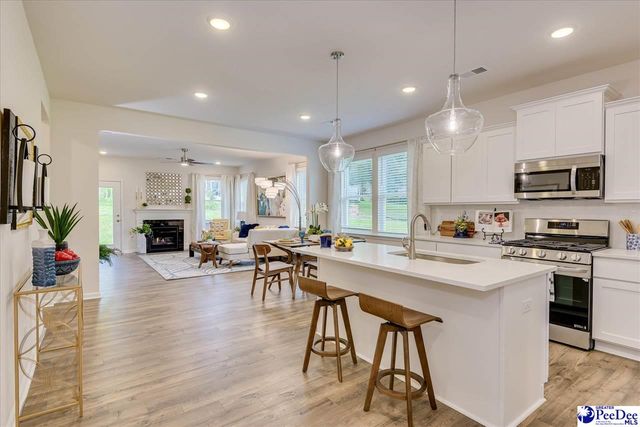 2210 Pandora's Path, Timmonsville, SC 29161