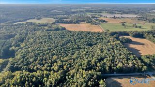 20 Acres Little Coffman Road, Lester, AL 35647