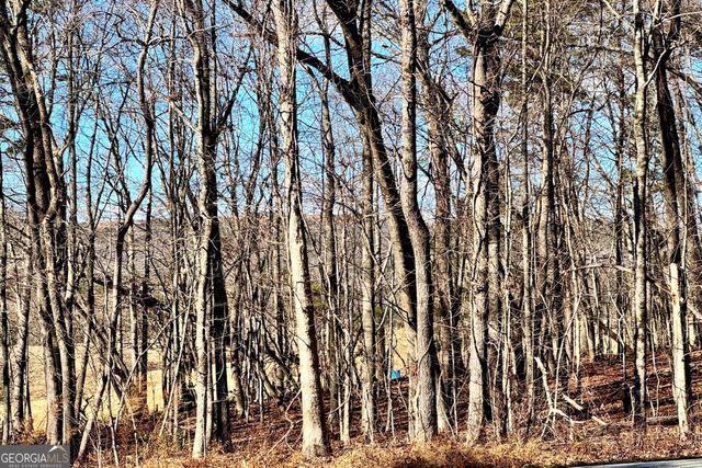 954 The Orchard Road, Clarkesville, GA 30523