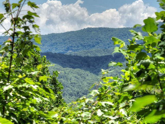 290 Left Turn, Blue Ridge, GA 30513