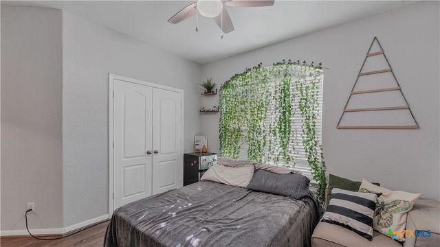 1944 Eastern Finch, New Braunfels, TX 78130