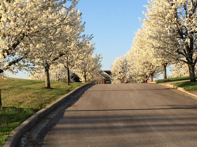 36 Waitsboro Circle, Somerset, KY 42503