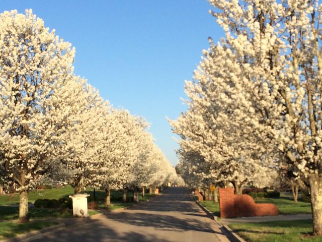 36 Waitsboro Circle, Somerset, KY 42503