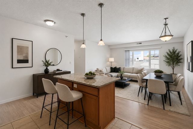 619 8th Street SE 308, Minneapolis, MN 55414