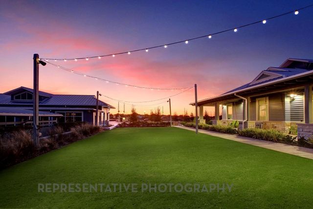 2462 Guava Hills Lane, Manvel, TX 77578