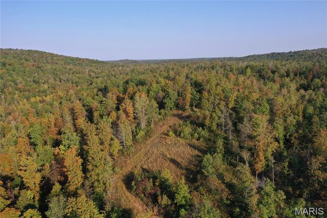 0 County Road 349, Piedmont, MO 63957