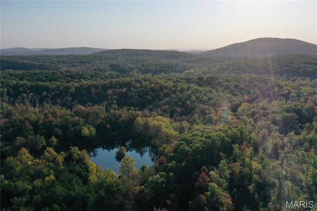 0 County Road 349, Piedmont, MO 63957