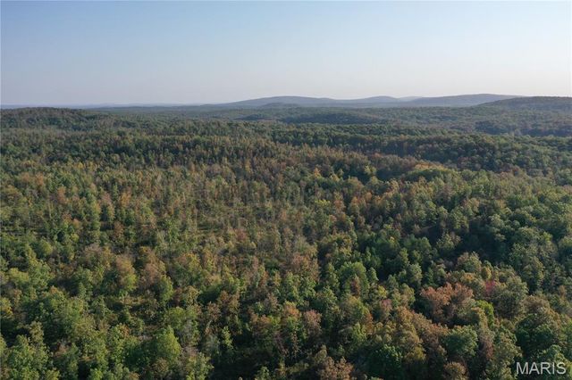 0 County Road 349, Piedmont, MO 63957