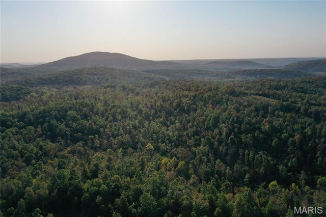 0 County Road 349, Piedmont, MO 63957