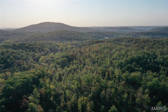 0 County Road 349, Piedmont, MO 63957