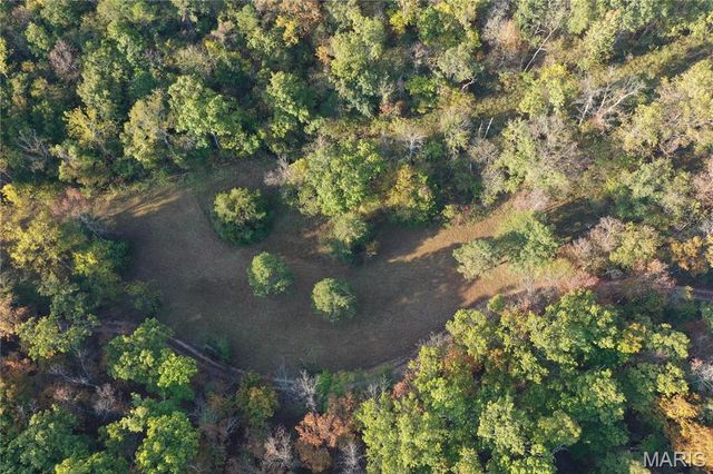 0 County Road 349, Piedmont, MO 63957