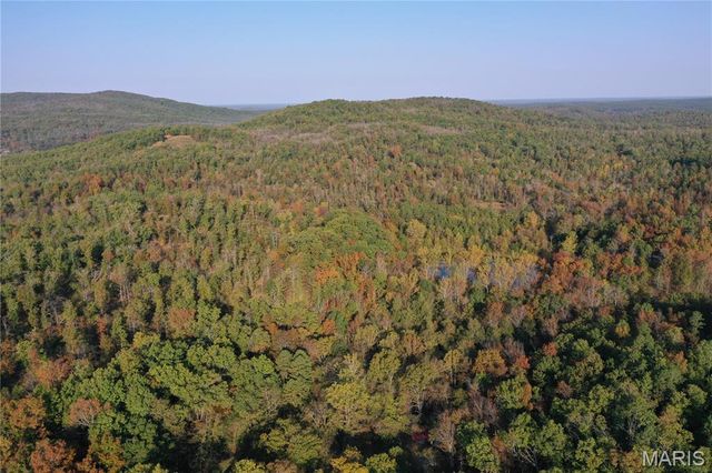 0 County Road 349, Piedmont, MO 63957